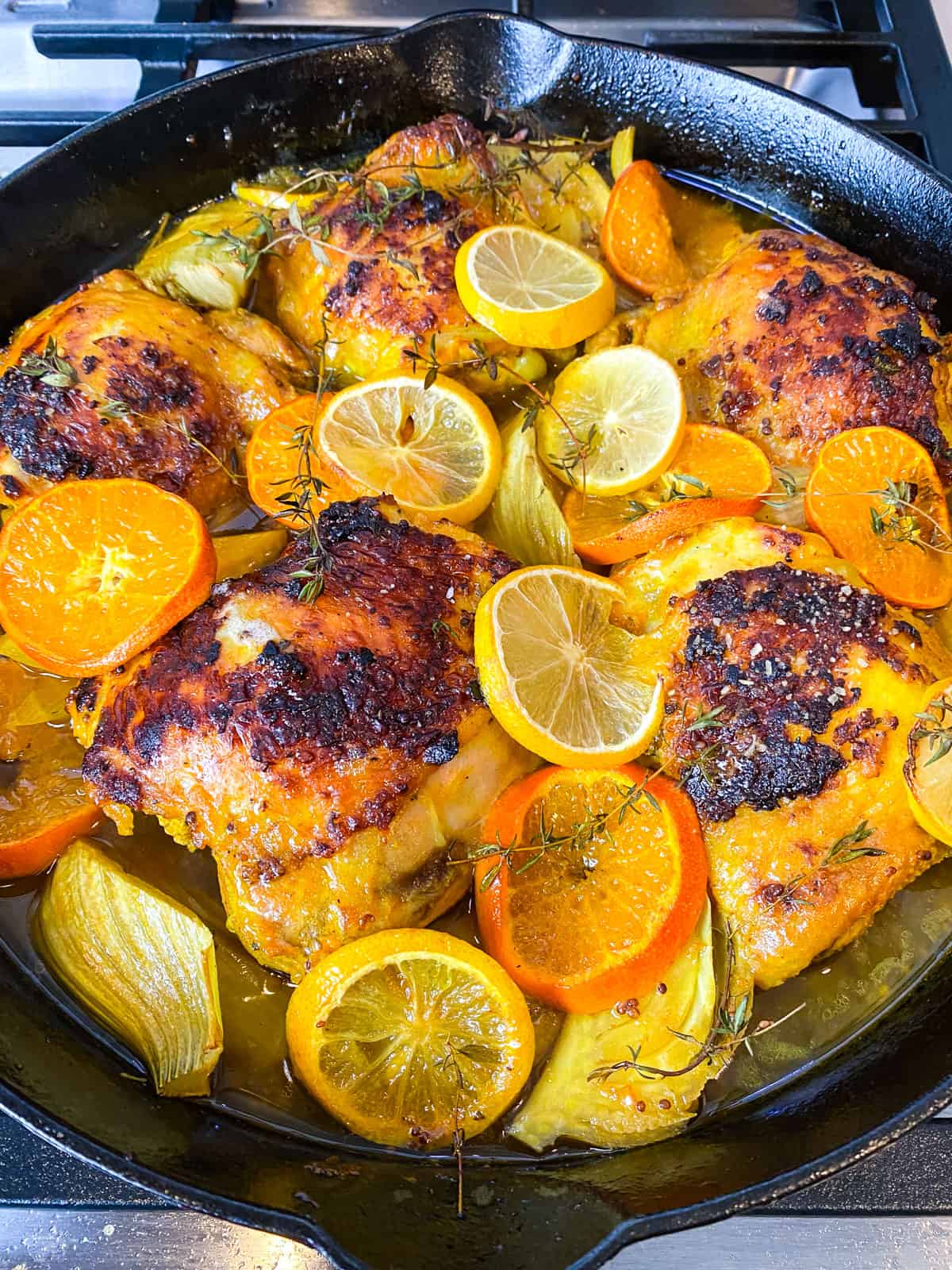 Fennel + Citrus Lemony Chicken - 42g protein