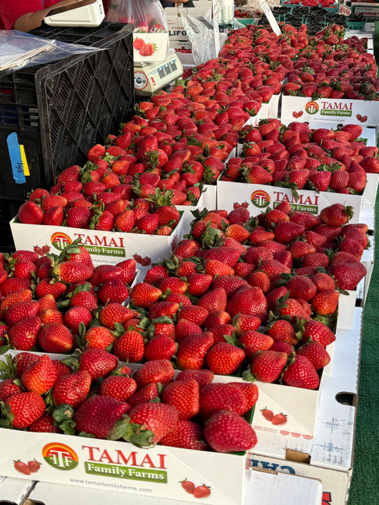 Farmers Market Strawberry Protein Bowl - 20g protein